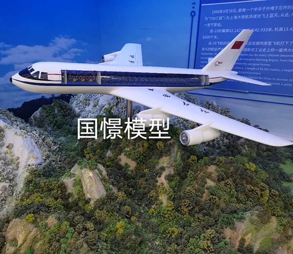 澄城县飞机模型