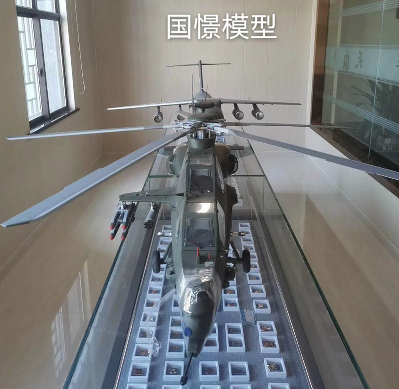 澄城县飞机模型