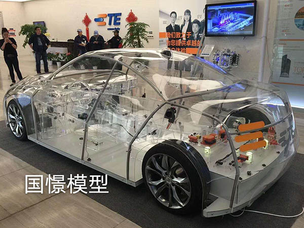 澄城县透明车模型